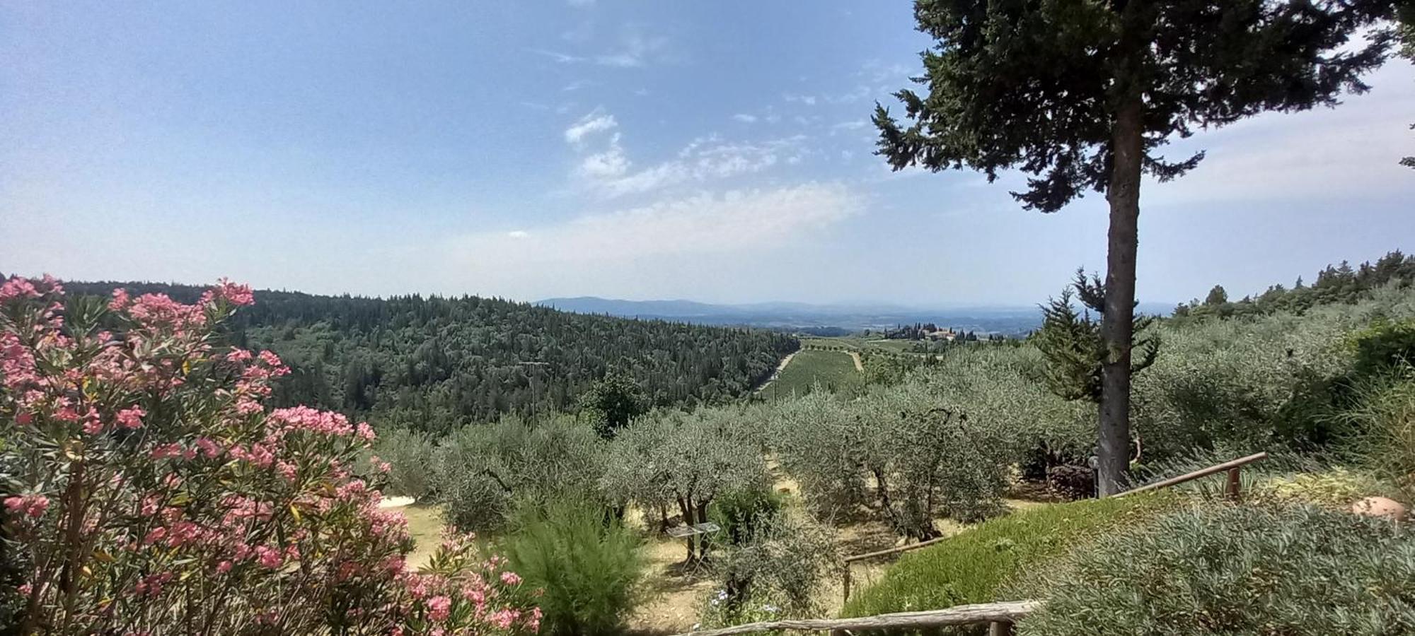 Borgo Nel Chianti Istrice Con Piscina Tennis E Wifi Castellina in Chianti Εξωτερικό φωτογραφία