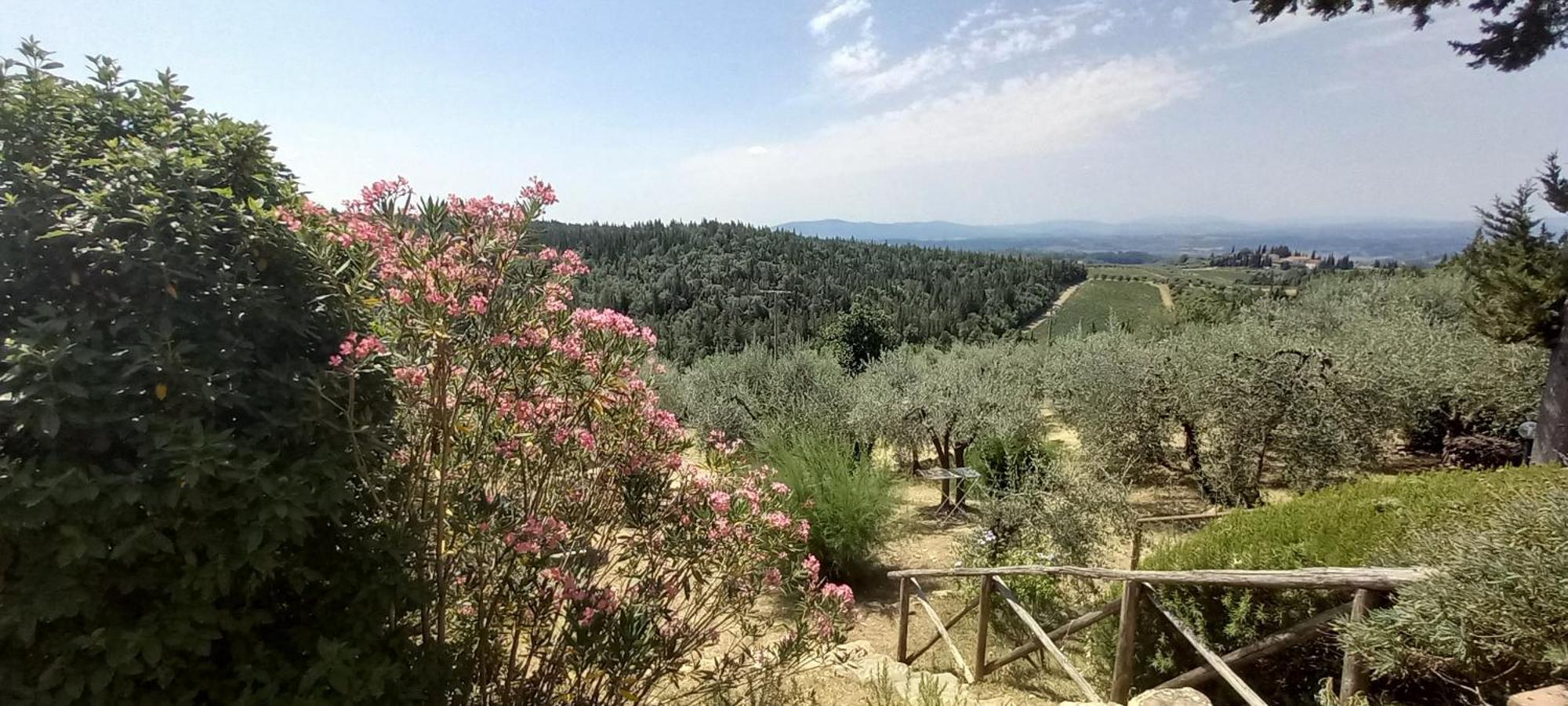 Borgo Nel Chianti Istrice Con Piscina Tennis E Wifi Castellina in Chianti Εξωτερικό φωτογραφία